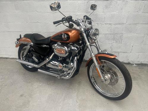 Harley Davidson Sportster XL Custom 1200 105e verjaardag, Motoren, Motoren | Harley-Davidson, Particulier, Chopper, meer dan 35 kW