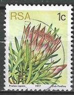Zuid-Afrika 1977 - Yvert 416 - De echte suikerbos (ST), Postzegels en Munten, Postzegels | Afrika, Zuid-Afrika, Verzenden, Gestempeld