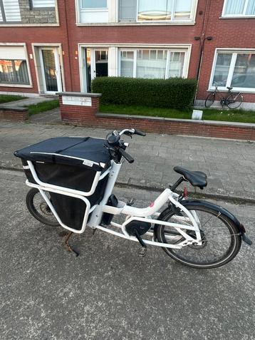 Urban arrow shorty beschikbaar voor biedingen