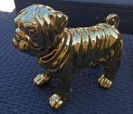 bulldogje goudkleurig in keramiek, Tuin en Terras, Ophalen, Nieuw, Overige materialen, Dierenbeeld