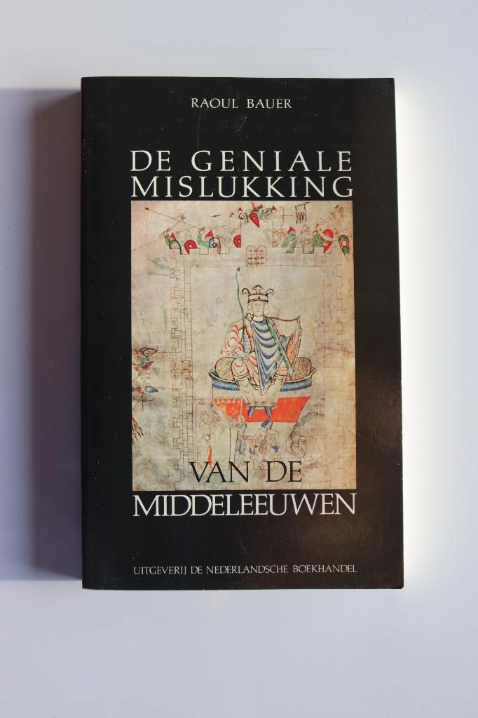Boek 'De geniale mislukking van de Middeleeuwen', Boeken, Geschiedenis | Wereld, Gelezen, Ophalen
