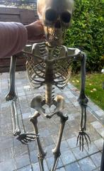 Halloween-skelet, Muziek en Instrumenten, Drumstellen en Slagwerk, Ophalen, Zo goed als nieuw
