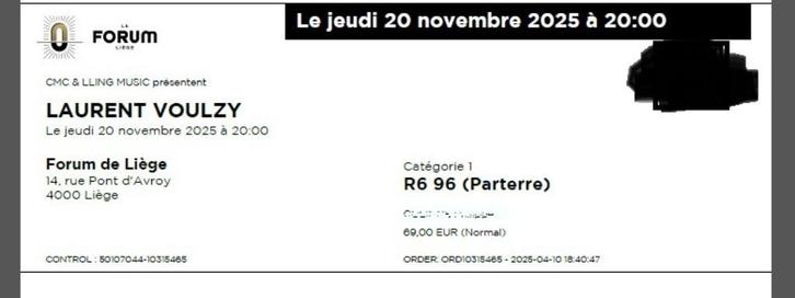 Place Laurent Voulzy / Liège / jeudi 20 novembre 2025, Tickets en Kaartjes, Concerten | Nederlandstalig, Eén persoon, November