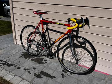 Sportivo koersfiets – Campagnolo derailleur beschikbaar voor biedingen