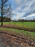 Weide te huur, Pâturage, 2 ou 3 chevaux ou poneys