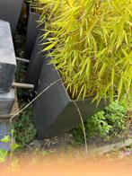 Plantenbak met bamboe, Tuin en Terras, Ophalen, Tuin, Kunststof, Zo goed als nieuw