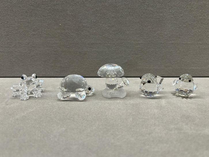 Swarovski 5 Euro stuk, Verzamelen, Swarovski, Nieuw, Figuurtje, Ophalen of Verzenden