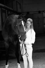 Layla VD Wellington, Dieren en Toebehoren, Paarden, Merrie, 175 cm of meer, Gechipt, Niet van toepassing