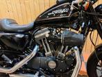 Harley-Davidson Roadster, Motos, 1202 cm³, Entreprise, Autre