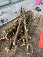 Gratis, Tuin en Terras, Brandhout, Ophalen of Verzenden