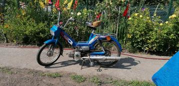 Puch Maxi klasse A, Enlèvement, Utilisé, Classe A (25 km/h), Maxi