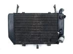 RADIATEUR Suzuki TL 1000 R 1998-2003 (TL1000R) (1772002FA0), Motoren, Gebruikt
