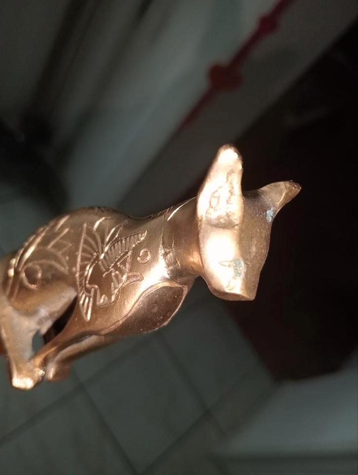 Cane Egypt (kat), Antiek en Kunst, Curiosa en Brocante, Ophalen of Verzenden