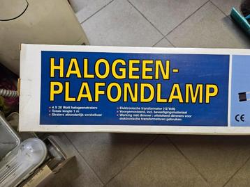Halogeen plafondlamp beschikbaar voor biedingen