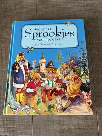 Boek: Wondere sprookjes voor jongens, Enlèvement ou Envoi, Comme neuf