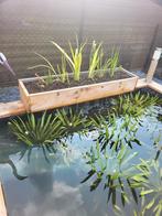 Plantenfilterbak, Tuin en Terras, Ophalen