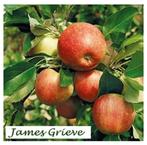 HALFSTAM APPELBOMEN: oa ELSTAR, JAMES GRIEVE, COX,... 22€/st, Ophalen, Lente, Vaste plant, Fruitplanten