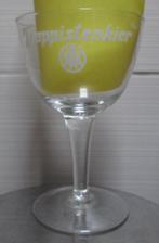 10 verschillende Westmalle Trappisten-glazen, Ophalen of Verzenden, Gebruikt, Glas of Glazen, Overige merken