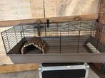 Caviakooi, Dieren en Toebehoren, Kooi, Cavia, Ophalen, Minder dan 60 cm