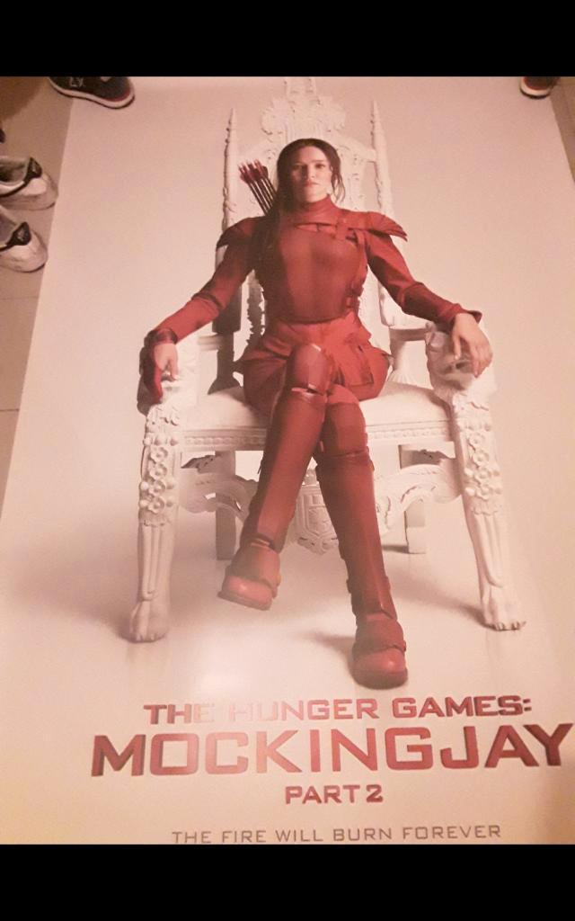 UNIEKE ZEER GROTE  ! ! film poster hunger games 2, Verzamelen, Film en Tv, Nieuw, Film, Poster, Ophalen