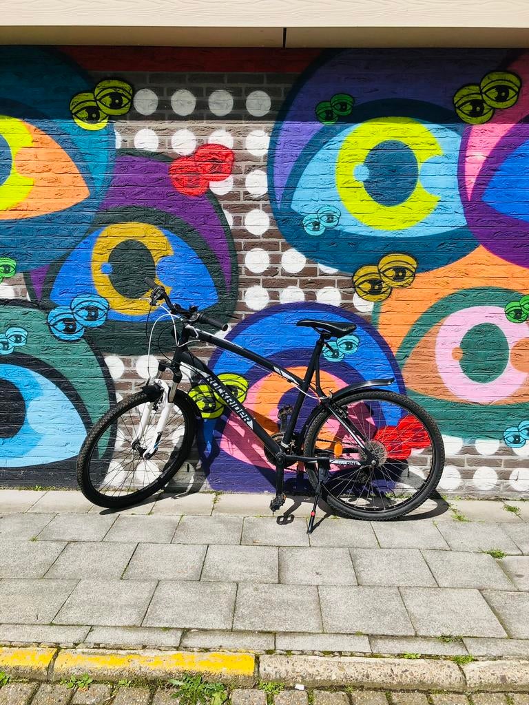 Rockrider 26inch, Fietsen en Brommers, Ophalen, Zo goed als nieuw, Heren, Overige merken