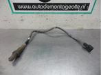 Sonde lambda d'un Renault Twingo (Twingo 07-), Renault, -, 3 mois de garantie, Utilisé