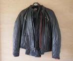 Harley Davidson leren jas en broek, Autre, Ophalen of Verzenden, Zo goed als nieuw