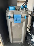 Oase biomaster 600 t, Dieren en Toebehoren, Ophalen of Verzenden, Zo goed als nieuw