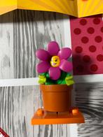 Lego minifiguren serie 18 nr 14. 6 stuks, Kinderen en Baby's, Speelgoed | Duplo en Lego, Ophalen of Verzenden, Zo goed als nieuw