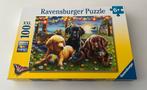 Puzzel xxl 100 stukken, hondenpicknick, 49x36cm, Kinderen en Baby's, Ophalen of Verzenden, Nieuw