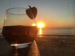 Vakantie appartement te huur Middelkerke zeedijk, Vakantie