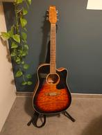 Washburn D10CEQSB acoustic-electric guitar, Muziek en Instrumenten, Ophalen, Zo goed als nieuw