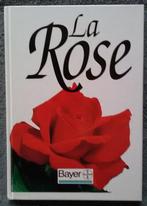 "La Rose - voyage dans le monde des plantes" Eliana Angiuli, Livres, Comme neuf, Enlèvement ou Envoi, Eliana Angiuli, Jardinage et Plantes de jardin