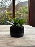 Apple HomePod Vase, Ophalen of Verzenden, Nieuw