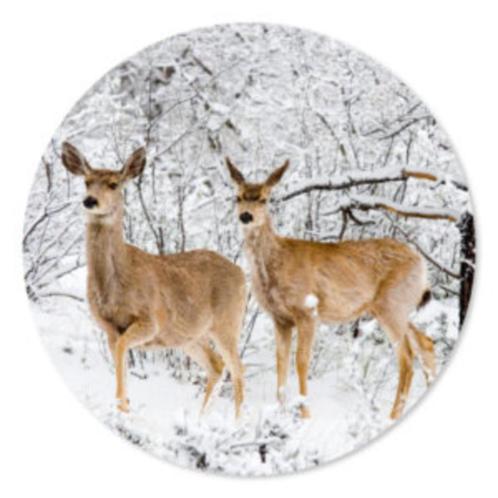 Muurcirkel Hertjes in de sneeuw, Huis en Inrichting, Woonaccessoires | Wanddecoraties, Nieuw, Ophalen of Verzenden