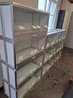 10 CAGES - CAGES D'ÉLEVAGE. (NOUVEAU), Enlèvement, Neuf, Aluminium