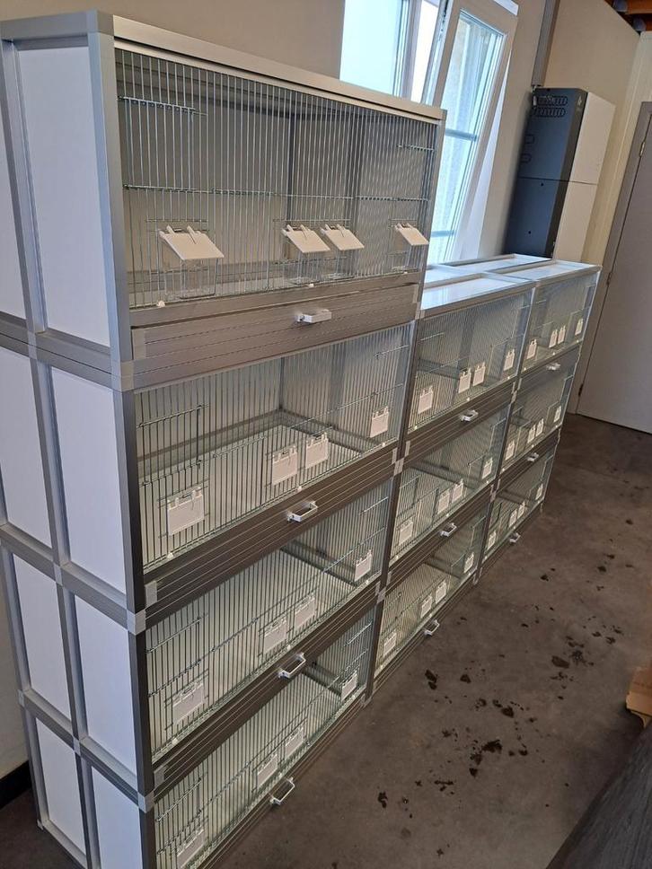 10 CAGES - CAGES D'ÉLEVAGE. (NOUVEAU), Animaux & Accessoires, Oiseaux | Cages & Volières, Neuf, Aluminium, Enlèvement