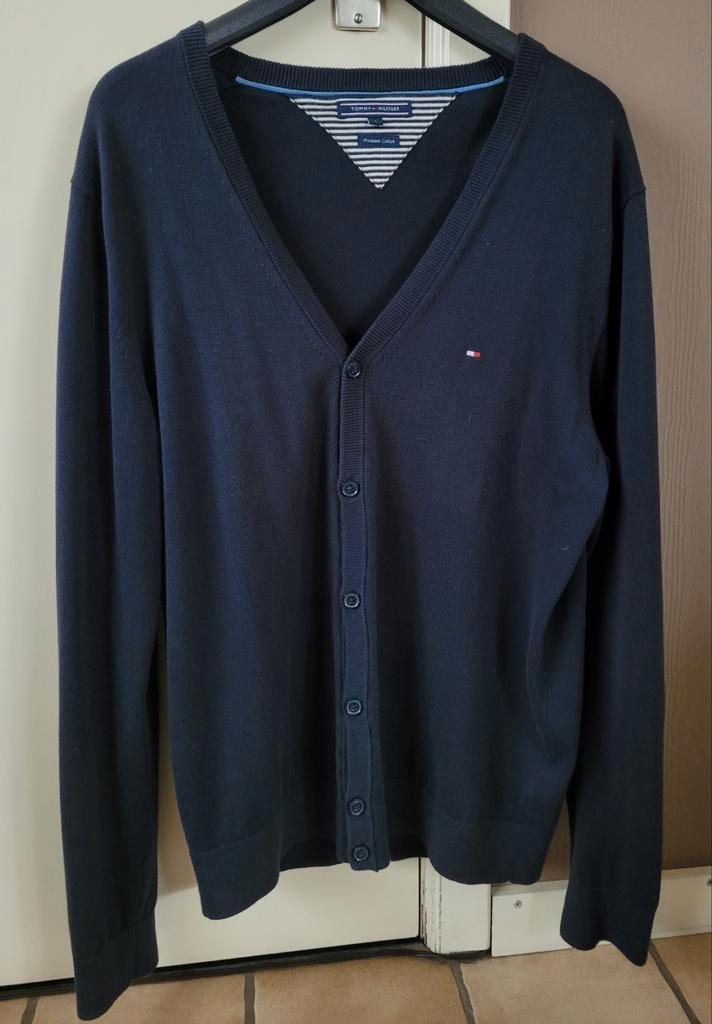 Fijne golf merk Tommy Hilfiger, L, Kleding | Heren, Truien en Vesten, Zo goed als nieuw, Maat 52/54 (L), Ophalen of Verzenden