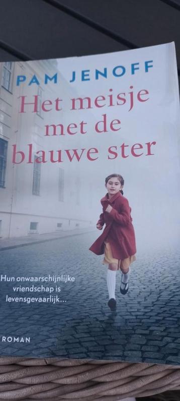 Pam Jenoff - Het meisje met de blauwe ster beschikbaar voor biedingen