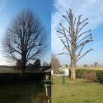Elagage entretien de jardin Devis rapide et gratuit, Ophalen of Verzenden