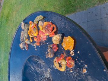 Plancha  beschikbaar voor biedingen