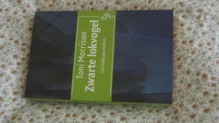 Zwarte lokvogel Toni Morisson, Boeken, Literatuur, Zo goed als nieuw, Ophalen of Verzenden