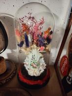 Antiquités, Enlèvement