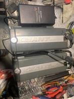 Giant twist 2 accu’s 70,00 euro. ,ook oplader te koop, Ophalen of Verzenden, Gebruikt, 30 tot 50 km per accu, Giant