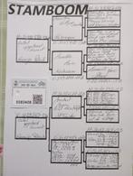 11 jonge duiven 2026 !!!!, Dieren en Toebehoren, Postduif