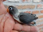 Agapornis Personata voor handopfok, Dieren en Toebehoren, Vogels | Parkieten en Papegaaien, Geringd