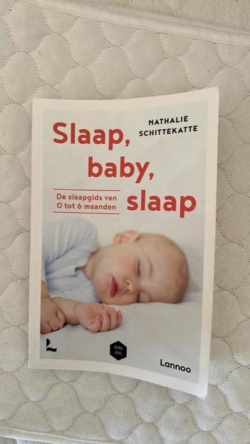 Nathalie Schittekatte - Slaap baby slaap  beschikbaar voor biedingen