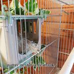 Dubai Nest - Avenue Moldes, Animaux & Accessoires, Oiseaux | Accessoires, Enlèvement ou Envoi, Neuf