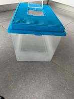 Een aquarium, Dieren en Toebehoren