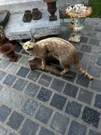 Opgezette kat ( oude boskat), Ophalen of Verzenden